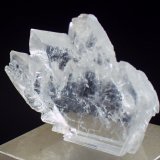 Yeso
Medida: 3,5 x 2,8 x 1,0 cms
(Autor: Joan Martinez Bruguera)