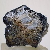 Celestina, Yeso, Siderita y Goethita
Medida: 3,8 x 3,4 x 1,5 cms
(Autor: Joan Martinez Bruguera)