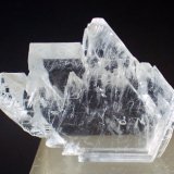 Yeso
Medida: 3,5 x 2,8 x 1,0 cms
(Autor: Joan Martinez Bruguera)