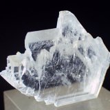 Yeso
Medida: 3,5 x 2,8 x 1,0 cms
(Autor: Joan Martinez Bruguera)