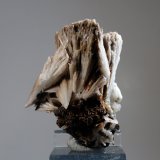 Celestina
Medida: 4,5 x 4,0 x 3,0 cms
(Autor: Joan Martinez Bruguera)