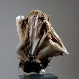 Celestina
Medida: 4,5 x 4,0 x 3,0 cms
(Autor: Joan Martinez Bruguera)