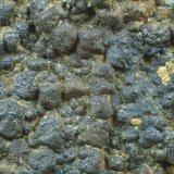 Magnetita
100 x 75 x 40 mm
(Autor: Joan Martinez Bruguera)