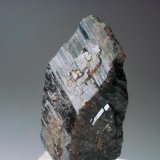 Axinita
30x15x0,70 mm
(Autor: Joan Martinez Bruguera)