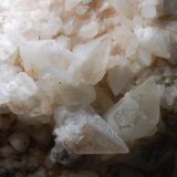 (Autor: Joan Martinez Bruguera)