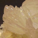 Colemanita
8 x 6 x 3,5 cm
(Autor: Antonio Alcaide)