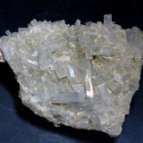 Celestina
Medida: 6.0 x 4,6 x 1,2 cms
(Autor: Joan Martinez Bruguera)