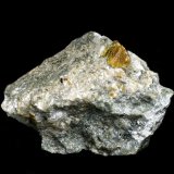 Titanita
Cristal de 10 mm.
(Autor: Antonio Carmona)