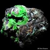 Conichalcita (Conicalcita) y Calcita.
22x18 mm.
(Autor: Jesus Franquesa Baucells)