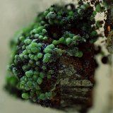 Conicalcita sobre arsenopirita.
Campo de visión de 4 mm.
(Autor: Antonio Carmona)