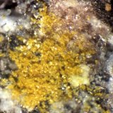 Copiapita
3 mm.
(Autor: José Luis Zamora)