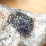 Cordierita
F.O.V. : 15 X 10 mm.
(Autor: Jesús López)