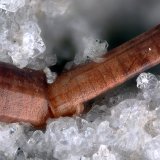 Cordierita
Campo de visión 2,2 mm.
(Autor: Juan Miguel)