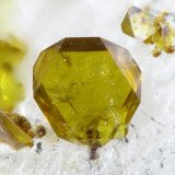 Corkita
1.6mm
(Autor: yowanni)