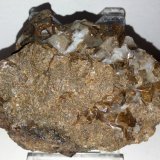 Granate (Grupo)
7x5,5 cm.
(Autor: Adri Rodríguez)