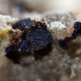Covellita
22 x 19 x 11 mm.
(Autor: José Luis Zamora)