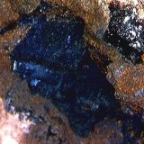 Covellina.
2´18 x 2´89 mm.
(Autor: Jesus Franquesa Baucells)
