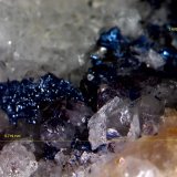 Covellita (Covellina) y Cuarzo.
5´719 x 3´609 mm.
(Autor: Jesus Franquesa Baucells)