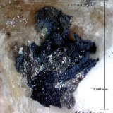 Covellita (Covellina) y Smithsonita
2´567 x 2´227 mm.
(Autor: Jesus Franquesa Baucells)