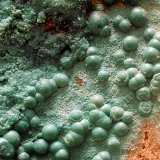 Pseudomalaquita
Campo de visión de 10 mm.
(Autor: Antonio Carmona)