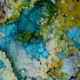Crisocola y Duftita.
3´606 x 2´774 mm.
(Autor: Jesus Franquesa Baucells)