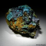Crisocola, Zincolivenita, Azurita pseudomórfica de Crisocola.
32x24 mm.
(Autor: Jesus Franquesa Baucells)