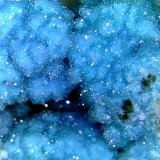 Crisocola
Campo de visión 3 cm.
(Autor: Antonio P. López)