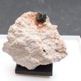 Bixbyíta
5 x 4,5 x 1,5
(Autor: Antonio Alcaide)