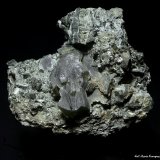 Cuarzo (variedad prasio) y Actinolita.
75x60 mm.
(Autor: Jesus Franquesa Baucells)