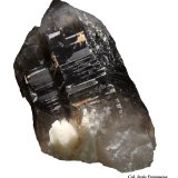 Cuarzo (variedad ahumado).
60x30 mm.
(Autor: Jesus Franquesa Baucells)