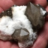 Cuarzo
Mina Rómulo, Collado La Mina, Llano del Beal, Cartagena, Comarca Campo de Cartagena, Región de Murcia (Murcia), España
7 x 5 cm, cristal biterminado 42 mm
(Autor: Matias Raja)