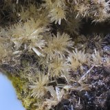 Mimetita
Campo de visión de 12 mm
(Autor: Antonio Carmona)