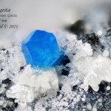 Cumengeita
0.7 mm
(Autor: Antonio Abril)