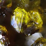 Cyrilovita
0.8mm
(Autor: yowanni)