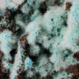Yeso sobre kobyashevita? (posible antropogénica)
9x7x5 cm
(Autor: Luis Edmundo Sánchez Roja)