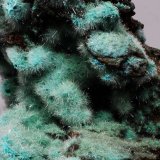 Yeso sobre kobyashevita? (posible antropogénica)
9x7x5 cm
(Autor: Luis Edmundo Sánchez Roja)