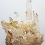 Danburita
8x10x5 cm
(Autor: Luis Edmundo Sánchez Roja)