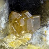 Vanadinita
Campo de visión de 13 mm
(Autor: Antonio Carmona)