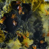 Calderonita
Campo de visión de 3 mm.
(Autor: Antonio Carmona)