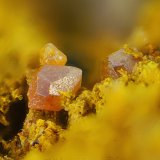 Vanadinita
Campo de visión de 1,5 mm
(Autor: Antonio Carmona)