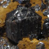 Rutilo
7 x 8 mm. el cristal
(Autor: prcantos)