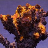 Goethita
5 x 3,5 cm.
(Autor: Antonio Alcaide)
