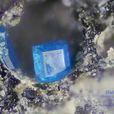 Diaboleita
0.9 mm
(Autor: Antonio Abril)