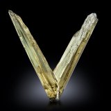 Diásporo [Diaspore]
6.5 x 2 x 6 cm
(Autor: Museo MIM)