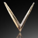 Diásporo [Diaspore]
6.5 x 2 x 6 cm
(Autor: Museo MIM)