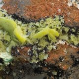 Uranocircita
Campo de visión de 12 mm
(Autor: Antonio Carmona)