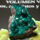 Dioptasa
25x30 mm
(Autor: Ignacio)