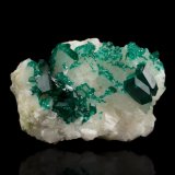 Dioptasa sobre Calcita
6 x 4.5 x 3.5 cm / cristal principal: 1.6 cm
(Autor: Museo MIM)