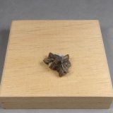 Dyscrasita
1,8 x 1,5 x 1,3 cm.
(Autor: J. G. Alcolea)
