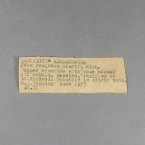 _Domeykita, etiqueta/ficha original.
8,1 x 3,2 x 3 cm.
(Autor: J. G. Alcolea)